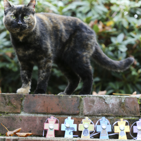 Guardian Angel for Cat
